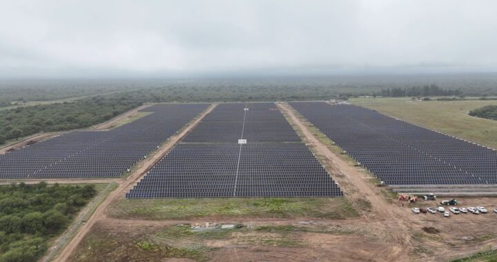 parque solar fotovoltaico Cemdo1